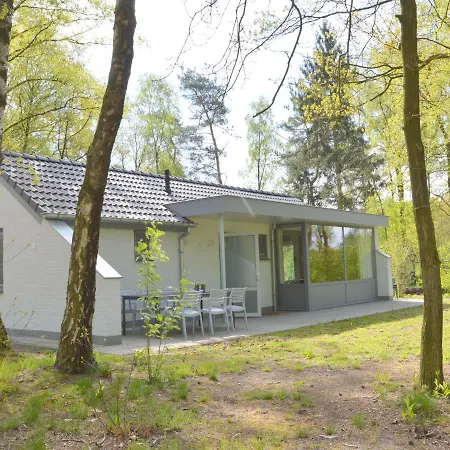 Forest Retreat Near Kempen-broek