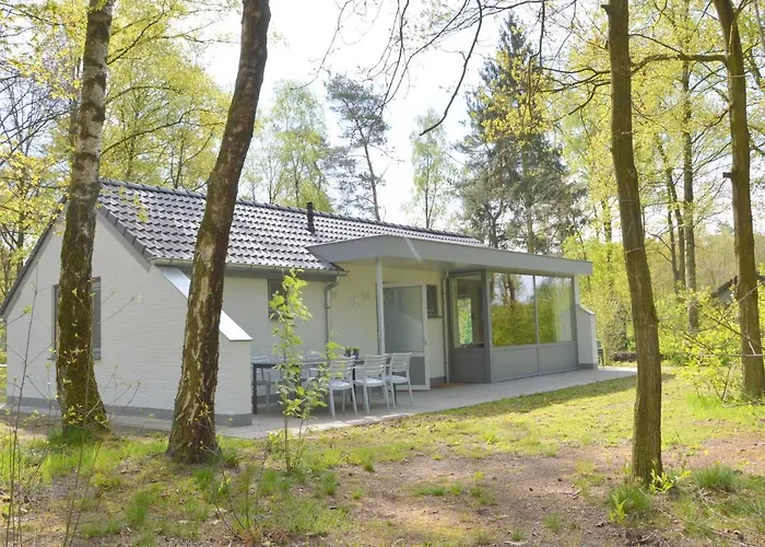Forest Retreat Near Kempen-broek