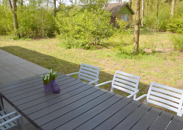 Forest Retreat Near Kempen-broek 別荘 De Horst