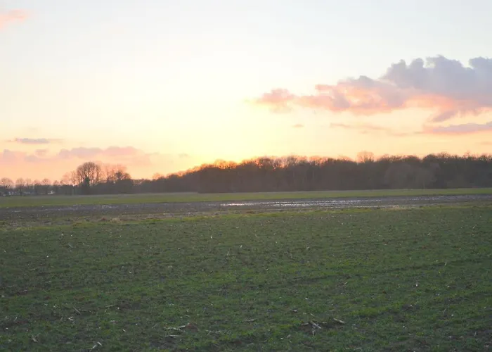 Forest Retreat Near Kempen-broek De Horst