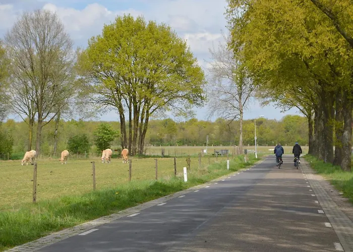 Forest Retreat Near Kempen-broek *