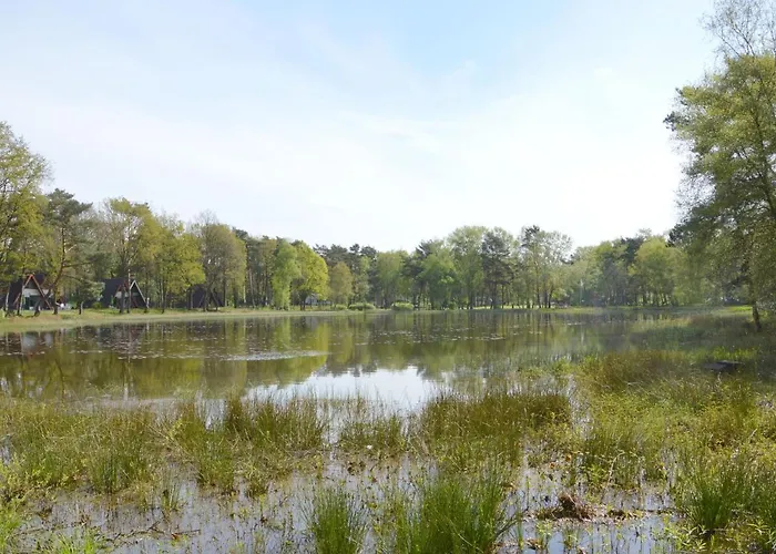 Forest Retreat Near Kempen-broek 別荘