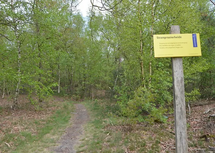 Forest Retreat Near Kempen-broek *