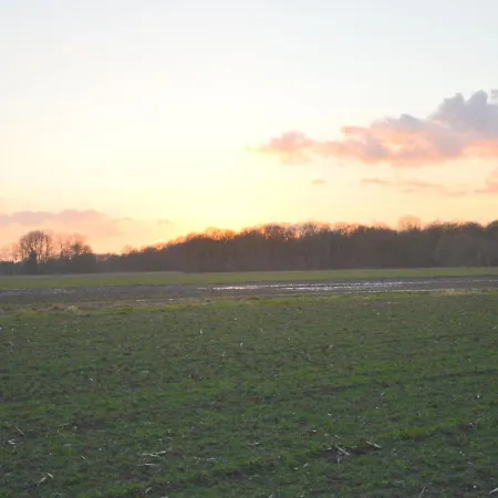 Forest Retreat Near Kempen-broek De Horst