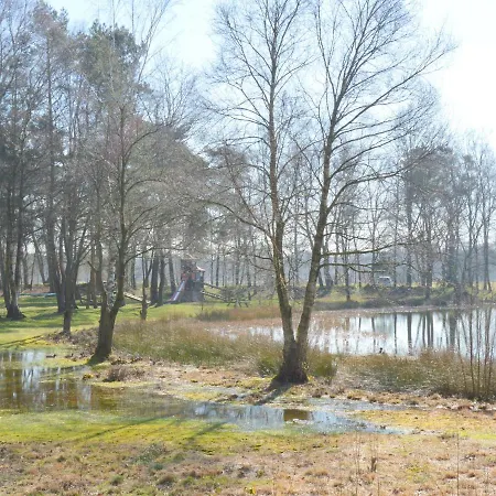 Semesterbostad Forest Retreat Near Kempen-broek De Horst